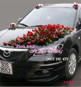 Xe hoa