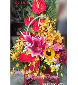 Hoa Giỏ_Lẵng hoa