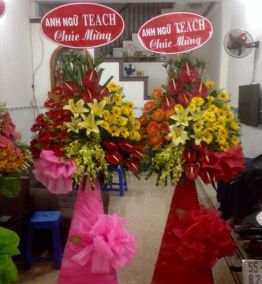 Hoa chúc mừng