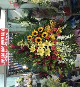 Hoa chúc mừng