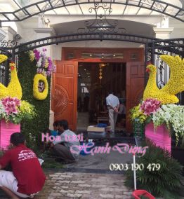Hoa trang trí sân vườn