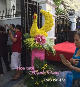 Hoa trang trí sân vườn