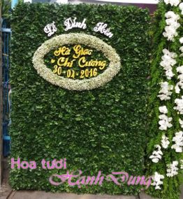 Hoa trang trí sân vườn