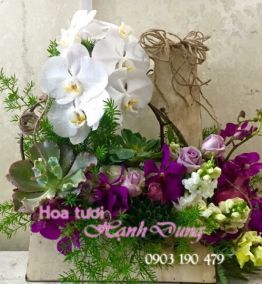 Hoa sinh nhật