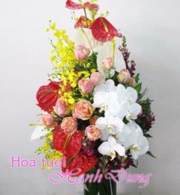 Hoa sinh nhật