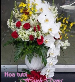 Hoa sinh nhật