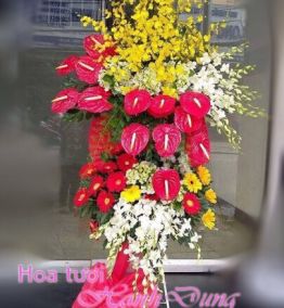 Hoa chúc mừng