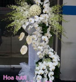 Hoa chia buồn