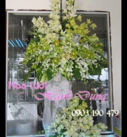 Hoa chia buồn