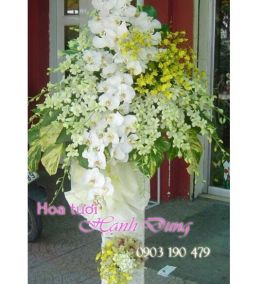 Hoa chia buồn